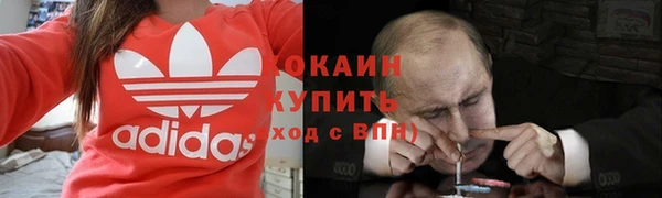 дживик Алзамай